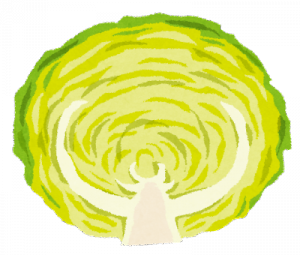 cut_vegetable_cabbage.png