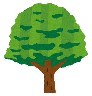 tree_keyaki.png