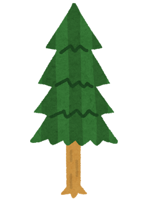 tree_sugi.png